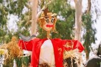 פסטיבל דחלילים